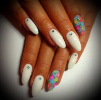 /album/fotogaleria-uvodna-stranka/nechty-37356185-jpg/